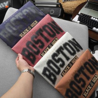 ÁO THUN CỔ TRÒN PACK BOSTON CHẤT COTTON MUỐI P314 - LADY'S PASSION