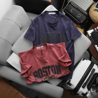 ÁO THUN CỔ TRÒN PACK BOSTON CHẤT COTTON MUỐI P314 - LADY'S PASSION
