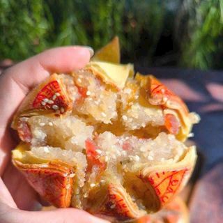 BÁNH DỪA MẶN VỎ PÍA, ĐẬM VỊ QUÊ, MỚI LẠ HIỆN ĐẠI 300G - WINNIE HOUSE