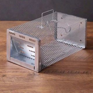 Bẫy chuột 1 cửa