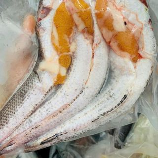 Cá lóc đồng ôm trứng 1kg