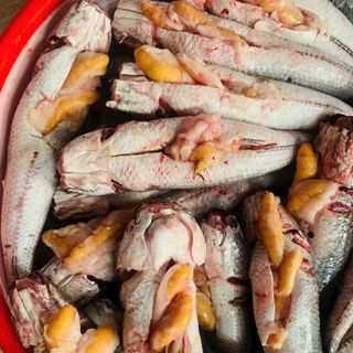 Cá lóc đồng ôm trứng 1kg