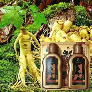 DẦU GỘI NHUỘM TÓC NHÂN SÂM HÀN QUỐC - VẺ ĐẸP TỪ THIÊN NHIÊN