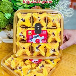 Bánh Bông Lan Hình Cối Xay Gió Nhân Việt Quất (Thùng 12 hộp x 248gr)