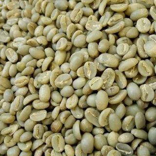 Robusta Coffee beans G1 S18