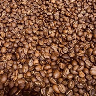 Robusta Coffee green beans G1 S18
