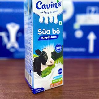 Sữa bò nguyên kem Cavin's(3,5% béo)