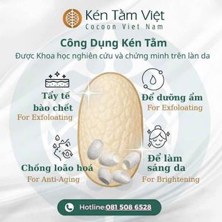Kén tằm massager