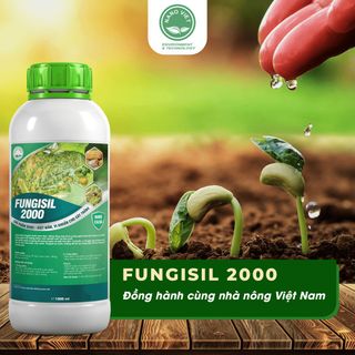 Chế Phẩm Nano Fungisil-2000 Phòng Ngừa Và Diệt Trị Nấm, Vi Khuẩn, Vi-rút Gây Bệnh Cho Cây Ăn Trái 1L