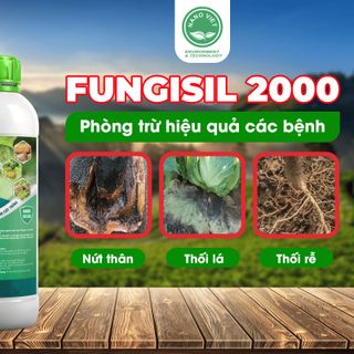 Chế Phẩm Nano Fungisil-2000 Phòng Ngừa Và Diệt Trị Nấm, Vi Khuẩn, Vi-rút Gây Bệnh Cho Cây Ăn Trái 1L