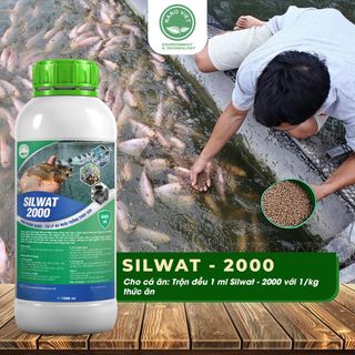 Chế Phẩm Nano Bạc Silwat-2000 - Xử lý Ao Nuôi Thủy Sản, Cải Tạo Môi Trường Nước, Diệt Nấm, Vi Khuẩn 1L