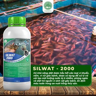 Chế Phẩm Nano Bạc Silwat-2000 - Xử lý Ao Nuôi Thủy Sản, Cải Tạo Môi Trường Nước, Diệt Nấm, Vi Khuẩn 1L