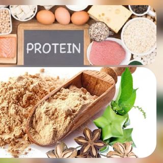 Bột Sachi – Nguồn Protein Thực Vật Cao Cấp Cho Người Ăn Chay