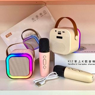 Loa Karaoke Bluetooth kèm 2 Mic K12