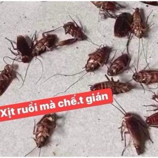 Bình Xịt AiBio Xua Đuổi Muỗi Kiến Gián Côn Trùng Hiệu Quả Nhanh Chóng An Toàn Cho Cả Người Và Vật Nuôi