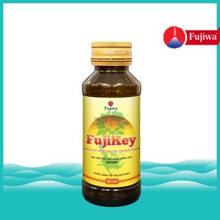 Hộp 10 Chai Nước Giải Rượu Fujiwa Chai 80ml Fujikey - Chống Đau Đầu + Say nguội sau hôm sau, Giải độc Gan nhanh chóng