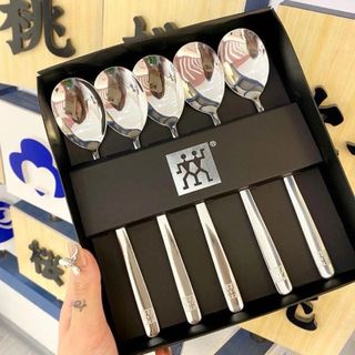 Set 5 thìa inox 304 Zwilling