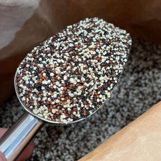 Quinoa 3 Màu - Diêm mạch 3 màu