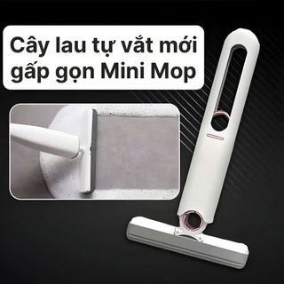 Cây Lau Kính Tự Vắt – clip