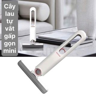 Cây Lau Kính Tự Vắt – clip