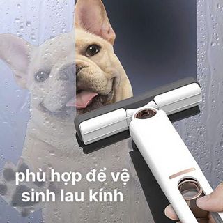 Cây Lau Kính Tự Vắt – clip