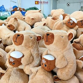 Gấu bông Capy Dừa Siêu To Khổng Lồ