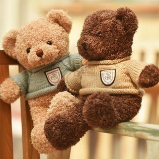 Gấu bông Teddy