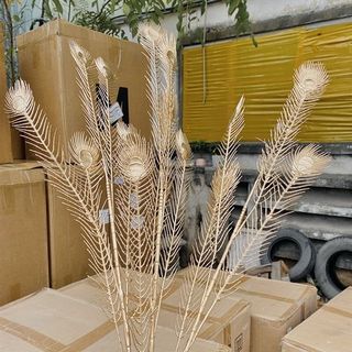 Phụ Kiện trang trí hình đuôi công