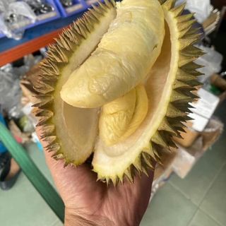 Sầu Riêng Hạt truyền thống trái tươi - đặc sản Daklak
