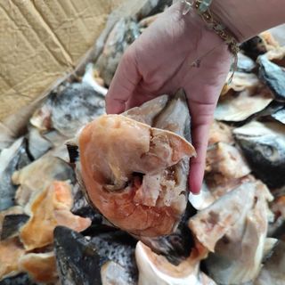 Đầu cá hồi nauy 1kg (giao tphcm)