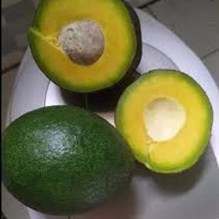 Bơ Tươi thương hiệu TA21 cực dẻo ngon_Size 2-3-4 trái/kg
