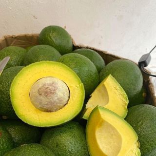 Bơ Tươi thương hiệu TA21 cực dẻo ngon_Size 2-3-4 trái/kg