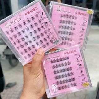 Mi giả nadou- lố 12h