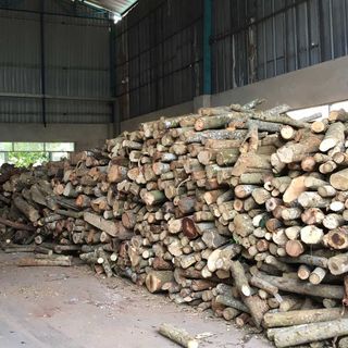 củi đốt lò hơi giá rẻ cho các công ty