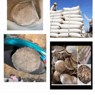 bánh dầu vừng giá sỉ-BÁNH DẦU MÈ giá sỉ