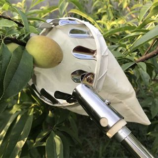 Dụng cụ hái trái cây (Đầu hái)