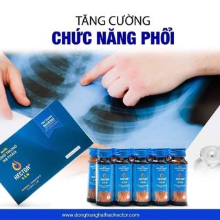 🔥 Hộp Nước Đông Trùng Hạ Thảo Hector Sâm Hộp 10 Chai x 50ml