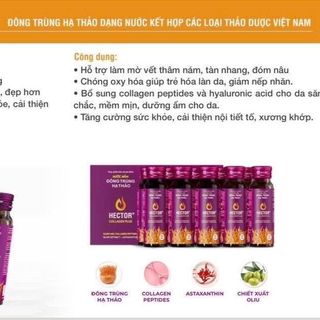 Nước Nấm Đông Trùng Hạ Thảo Hector Collagen Plus (hộp 10 chai)