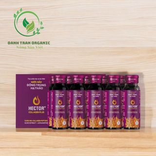 Nước Nấm Đông Trùng Hạ Thảo Hector Collagen Plus (hộp 10 chai)