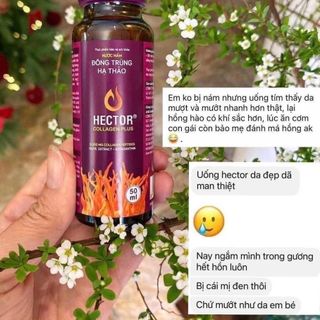 Nước Nấm Đông Trùng Hạ Thảo Hector Collagen Plus (hộp 10 chai)