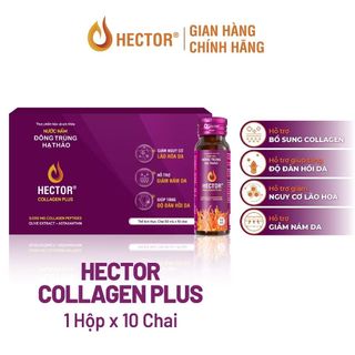 Nước Nấm Đông Trùng Hạ Thảo Hector Collagen Plus (hộp 10 chai)