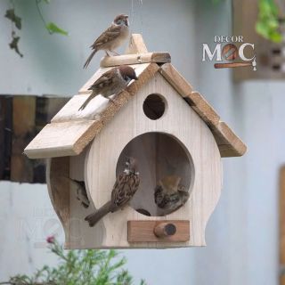 Tổ Chim Gỗ Tự Nhiên - Mộc Decor