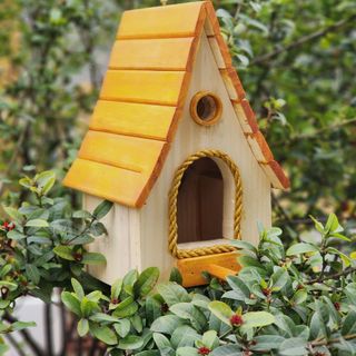 Tổ Chim Gỗ Tự Nhiên - Mộc Decor