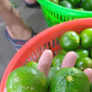 Chuyên Sĩ Chanh có hạt - không hạt