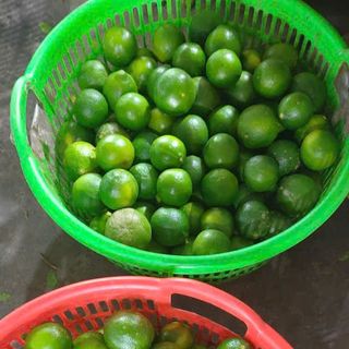 Chuyên Sĩ Chanh có hạt - không hạt