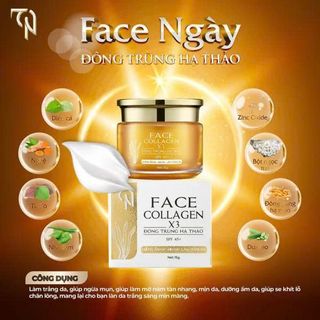 Kem Face Collagen X3 Ban Ngày Đông Trùng Hạ Thảo 15g (Full Vat)