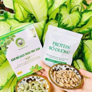Sâm Bổ Kiện Thảo Mộc Nam (Full Vat)
