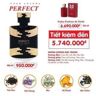 Nước Hoa Nam Goodcharme Perfect 100ml (Full Vat)