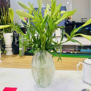 BÌNH CẮM HOA THỦY TINH PHÁT SÁNG 27CM