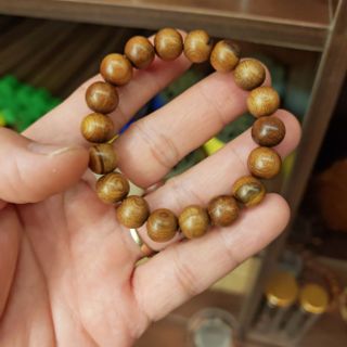 Sỉ vòng tay gỗ bách xanh